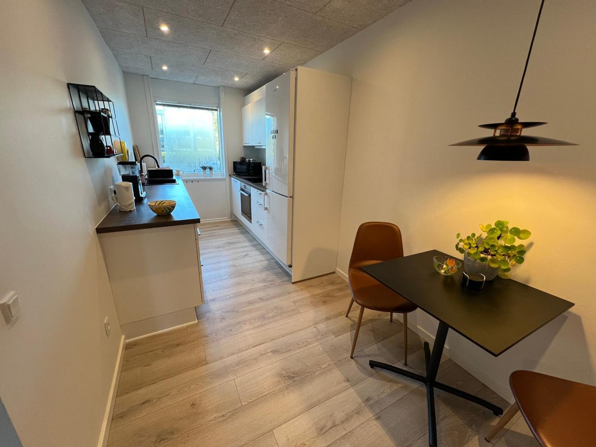 Nyrenoveret Lejlighed Med Balkon Og Parkering Έσμπιεργκ Εξωτερικό φωτογραφία